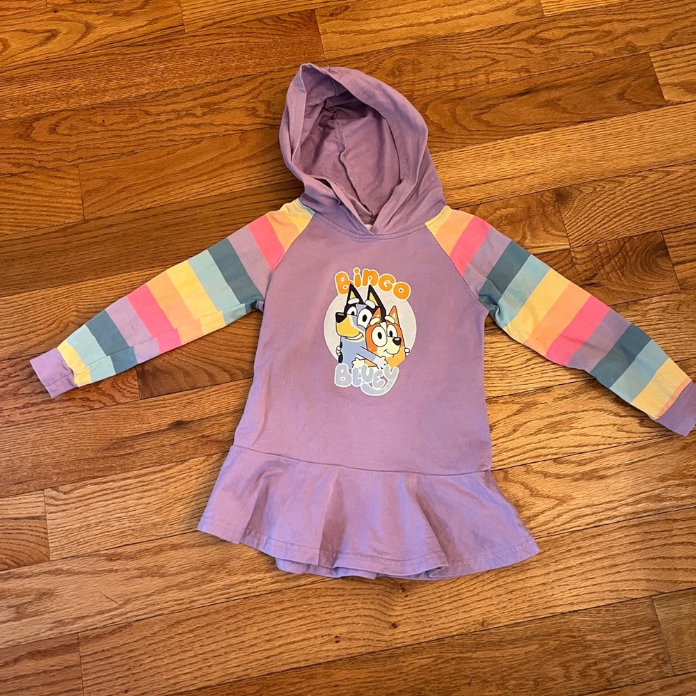 Bluey & Bingo hooded dress